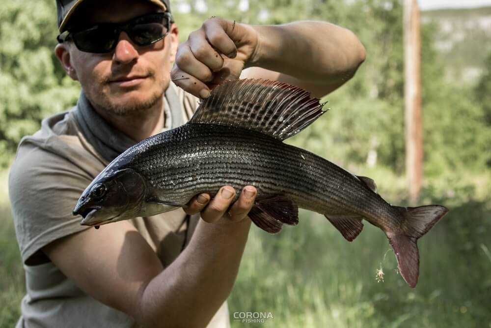 wędkarstwo skandynawia